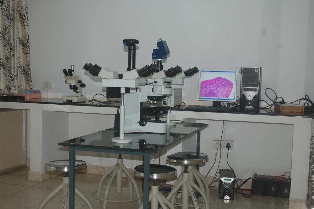 Pentahead Research Microscope